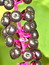 Phytolacca americana, Kermesbeere, Färbepflanze, Färberpflanze, Pflanzenfarben,  färben, Klostergarten Seligenstadt